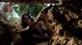 /album/a2x03-orientation/orientation-cap409-jpg/